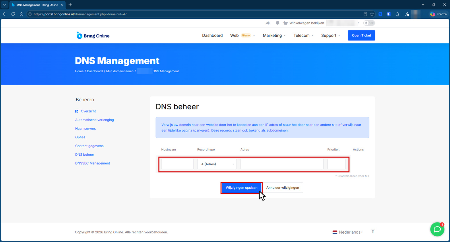 Het scherm DNS beheer in de portal met een lege recordregel